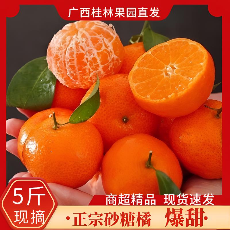 沙糖桔广西正宗砂糖橘2025年橘子新鲜水果当季柑橘皮薄多汁沙糖橘