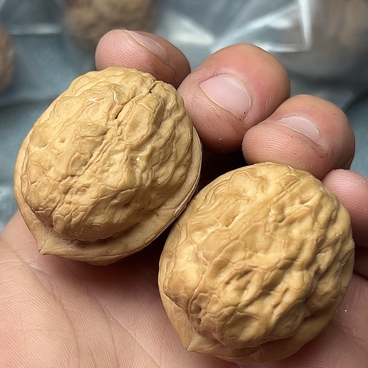 核桃20号金蟾疙瘩包38尺