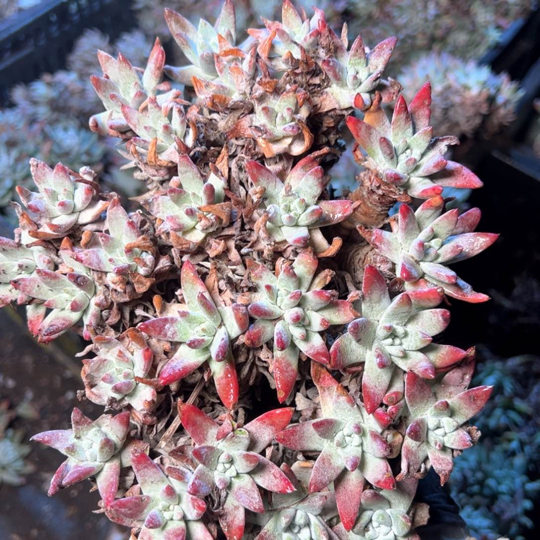 6446哈哈哈哈哈哈哈哈