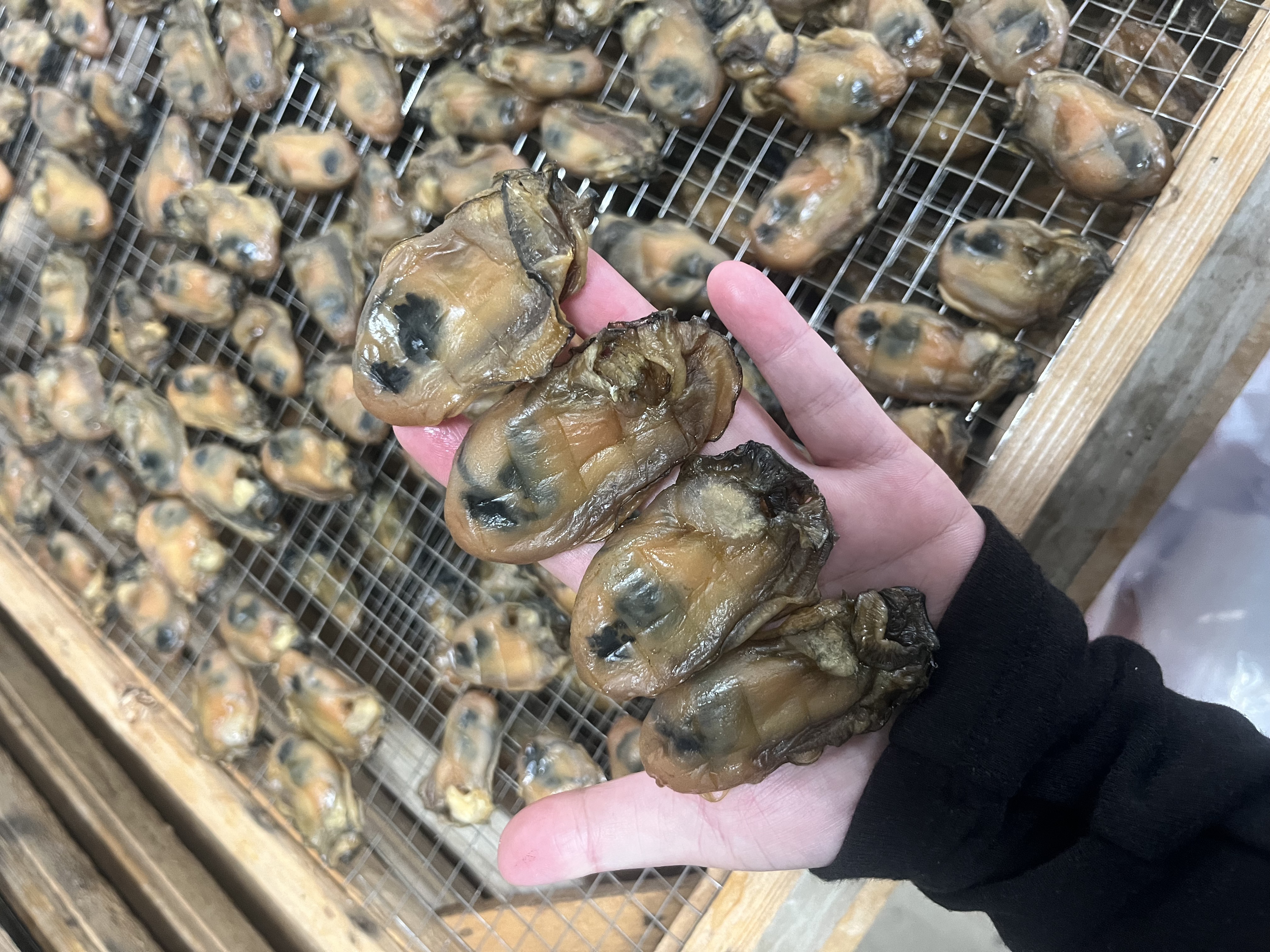 台山本地生蚝干（一斤40只到60只左右）