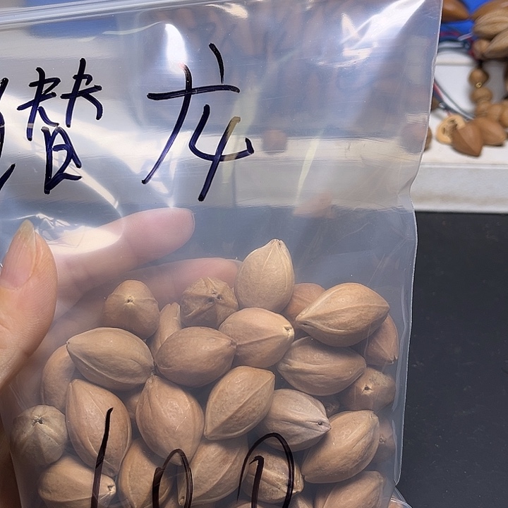 潜***龙手串/手链橄榄核111