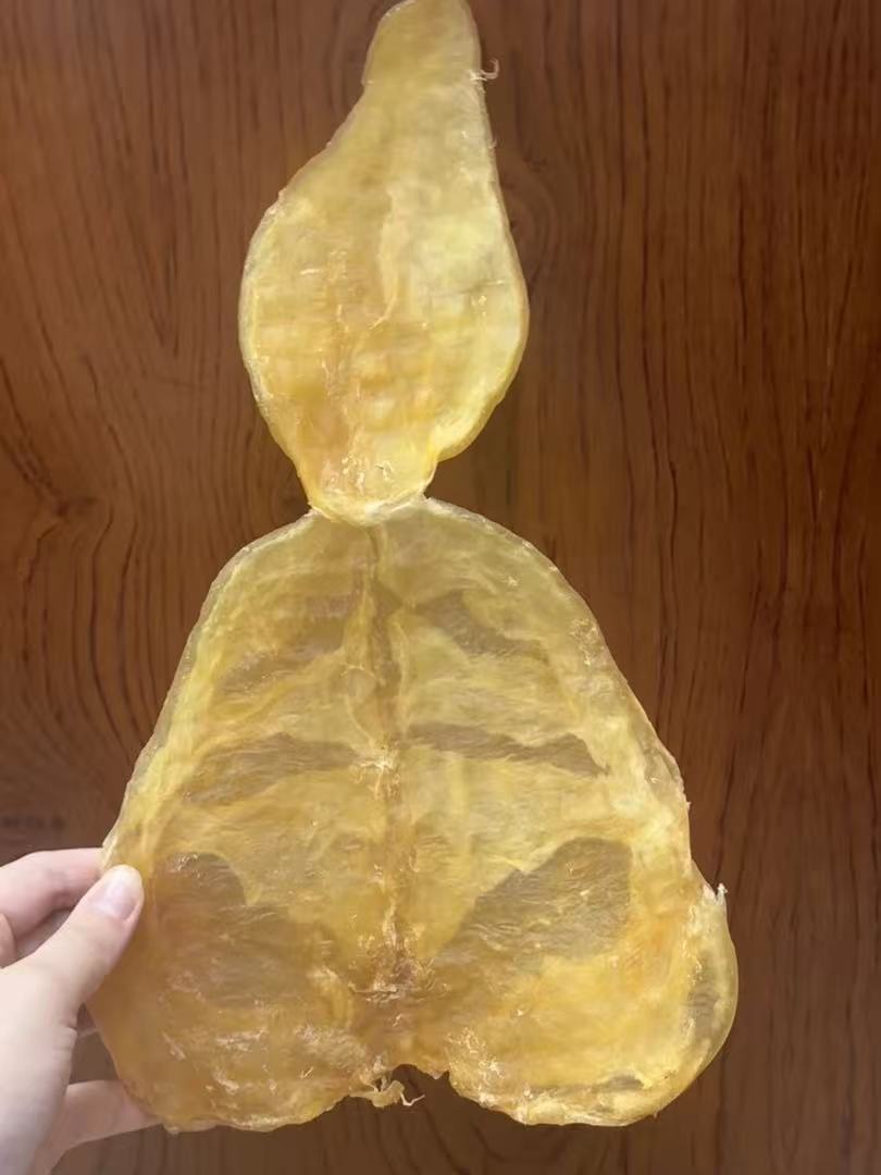 精选断尾葫芦胶鱼胶干货