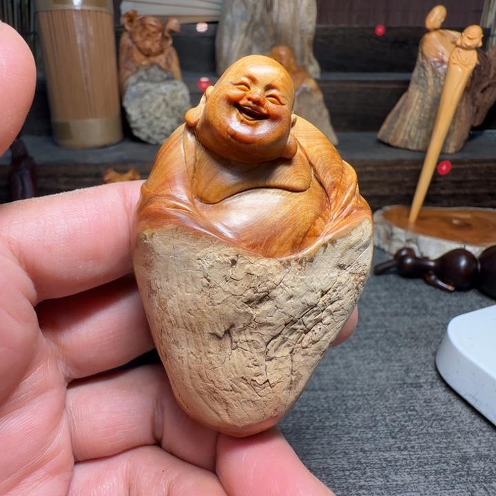 柏木（崖柏）我的小可爱小猫咪好