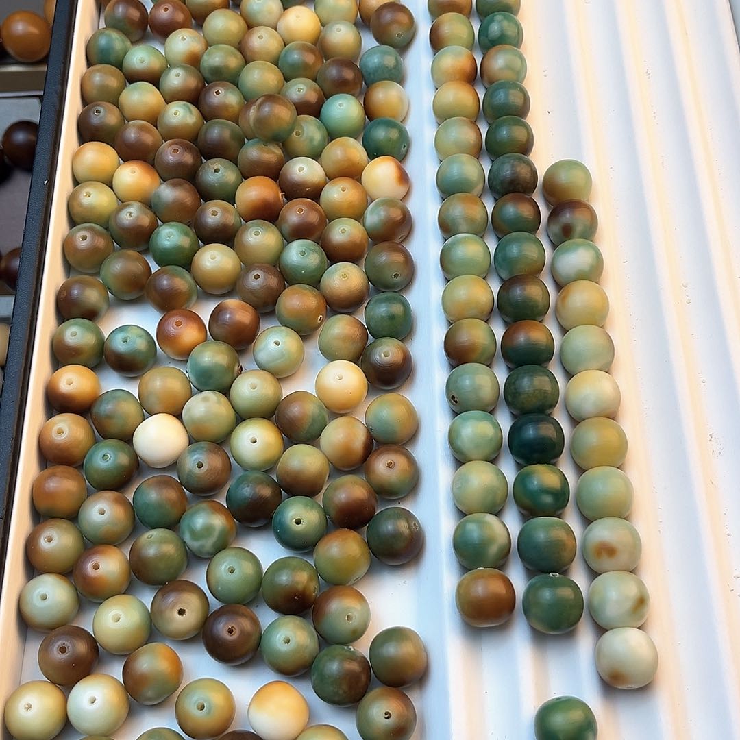 吊坠菩提根/象牙果