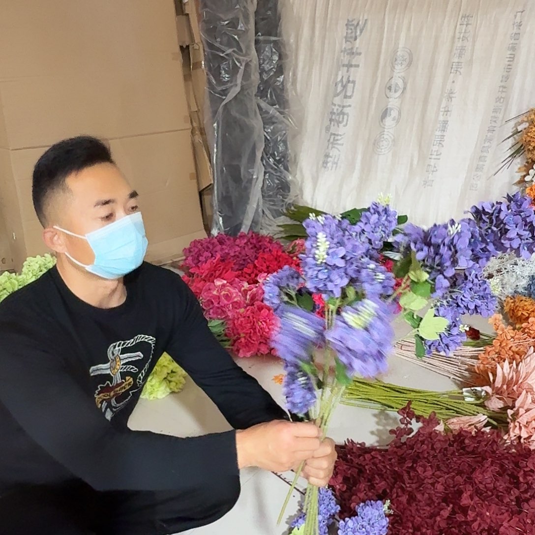 紫色三头紫罗兰10支装