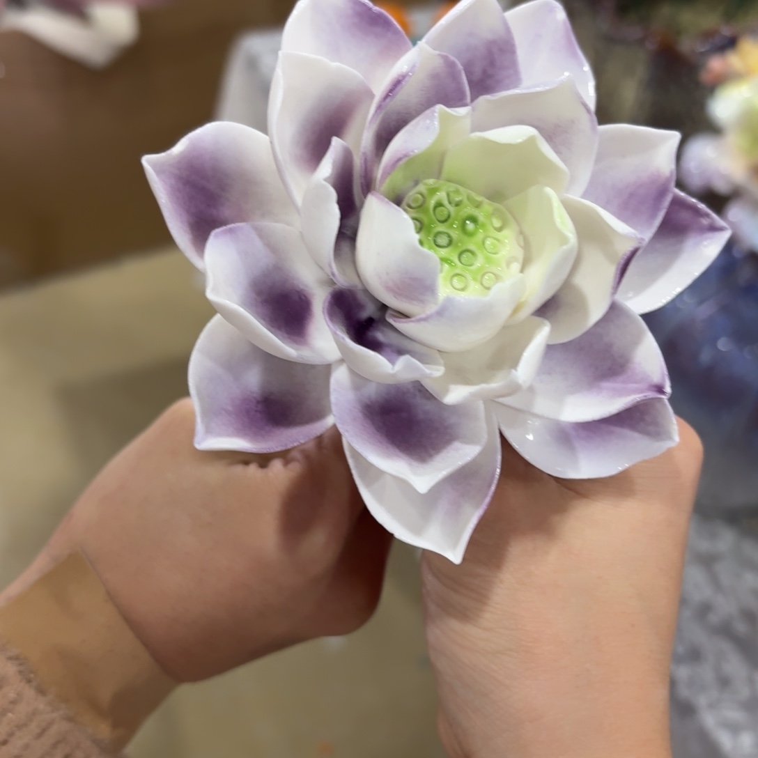 陶瓷花拍满20元发货退款拉黑