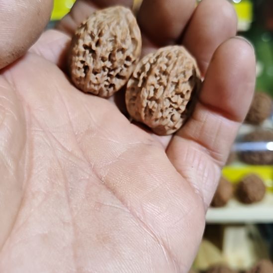 25加尺寸，野生鸡心，