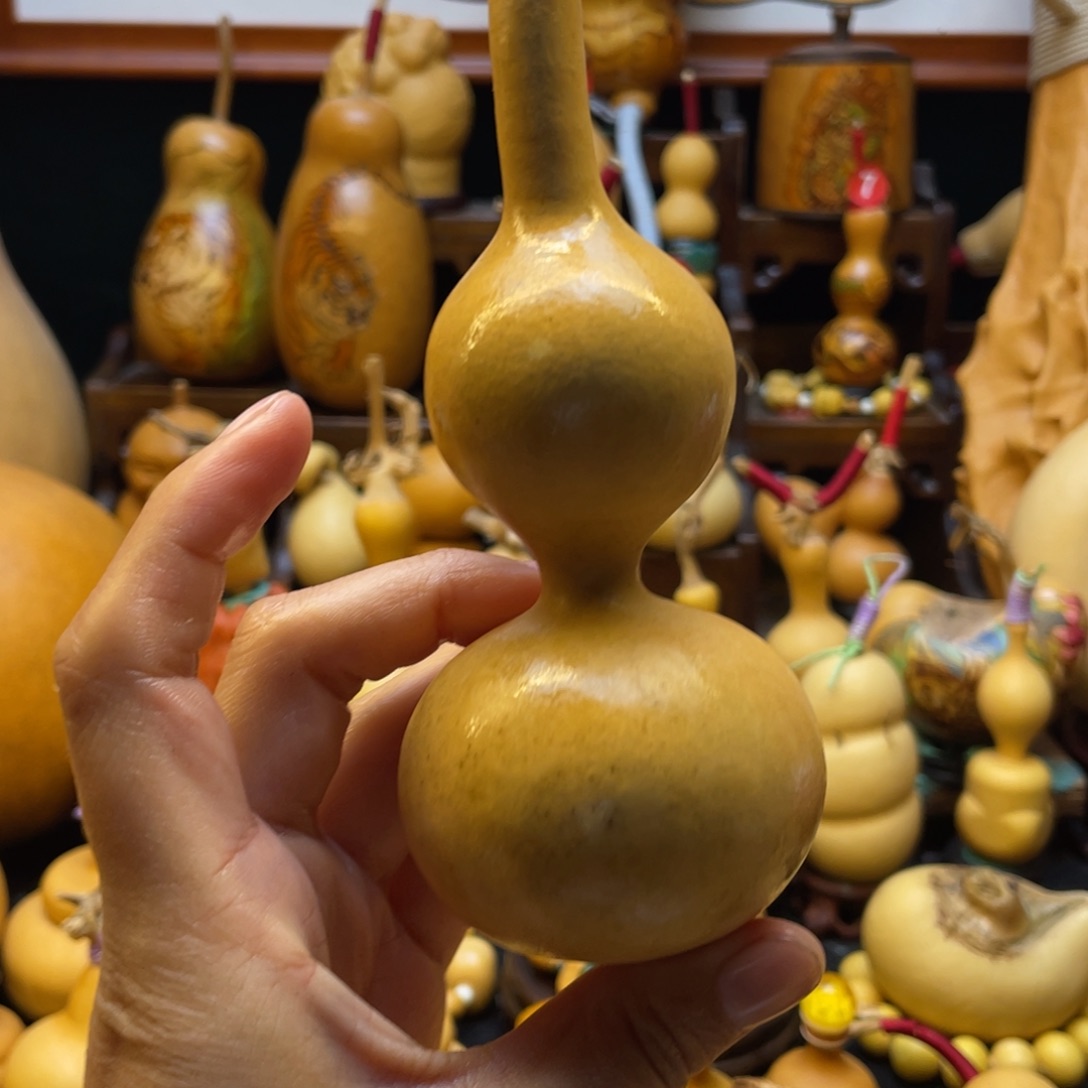 溪****谷葫芦等经济作物的栽培技术研究和推广