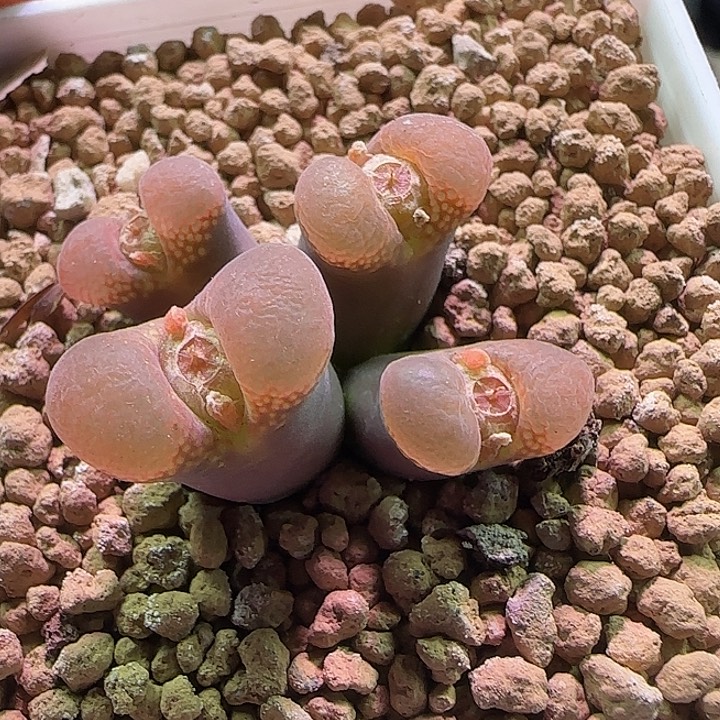 晨***浅034 哈哈哈哈哈哈哈哈