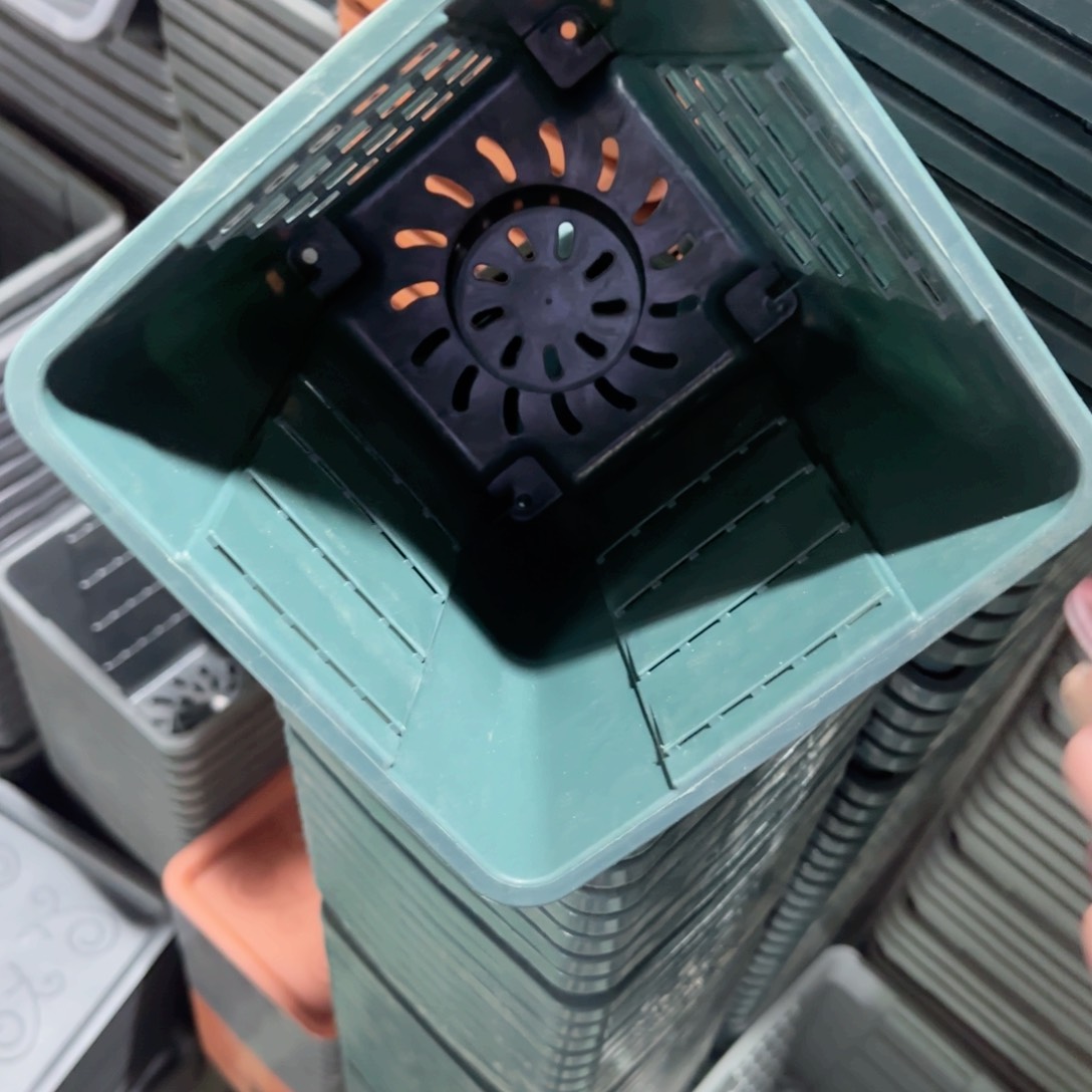 树脂编号101无拖10