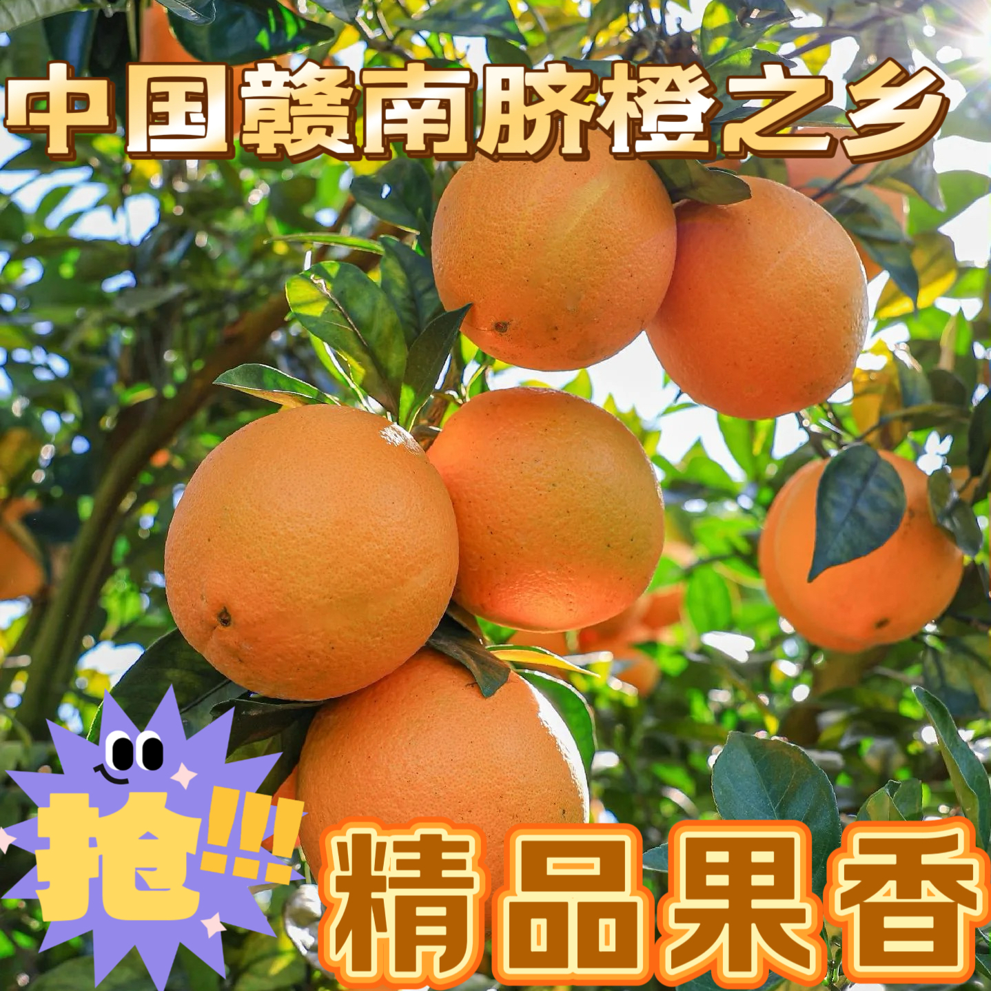 【20斤京东包邮】江西赣南正宗脐橙果园现摘现发新鲜汁水信丰耙耙柑