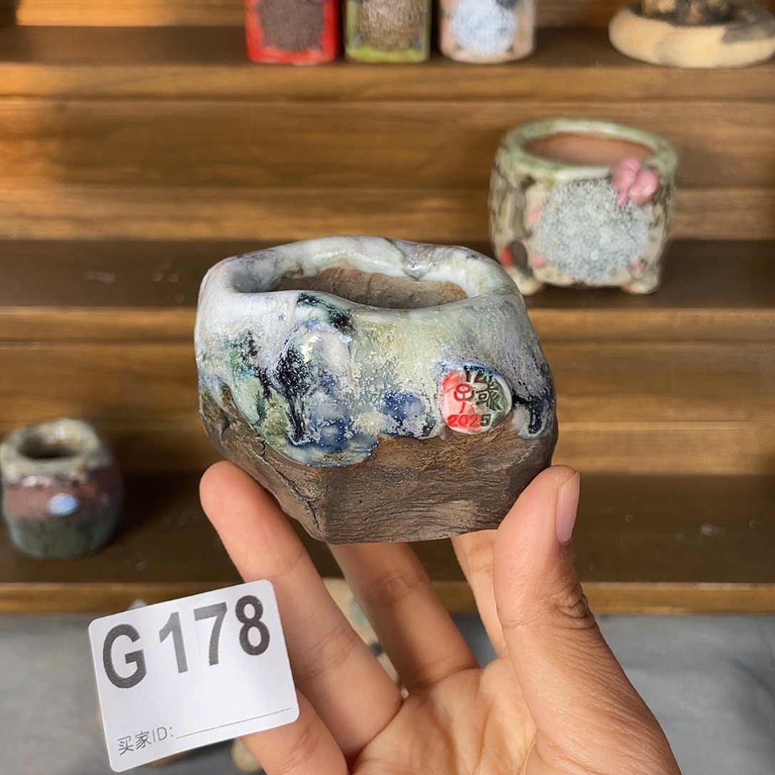 坛子姐花盆子彧 孤品 内口4