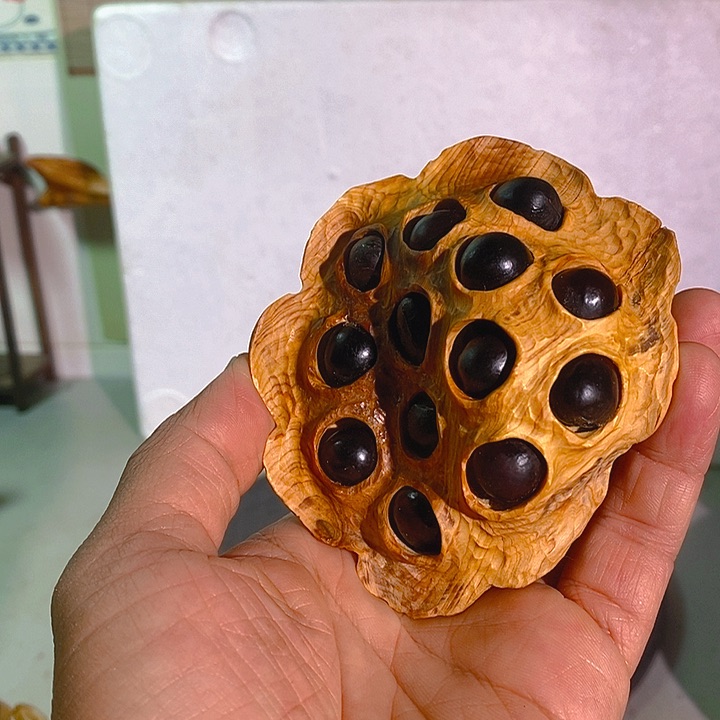 柏木（崖柏）刘*太行大峡谷崖柏