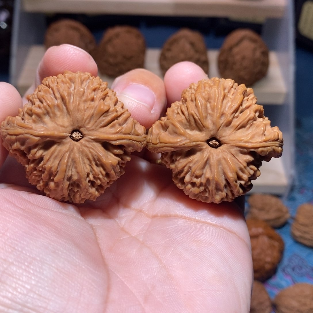 吊坠文玩核桃卡*全品涿鹿老树南疆石