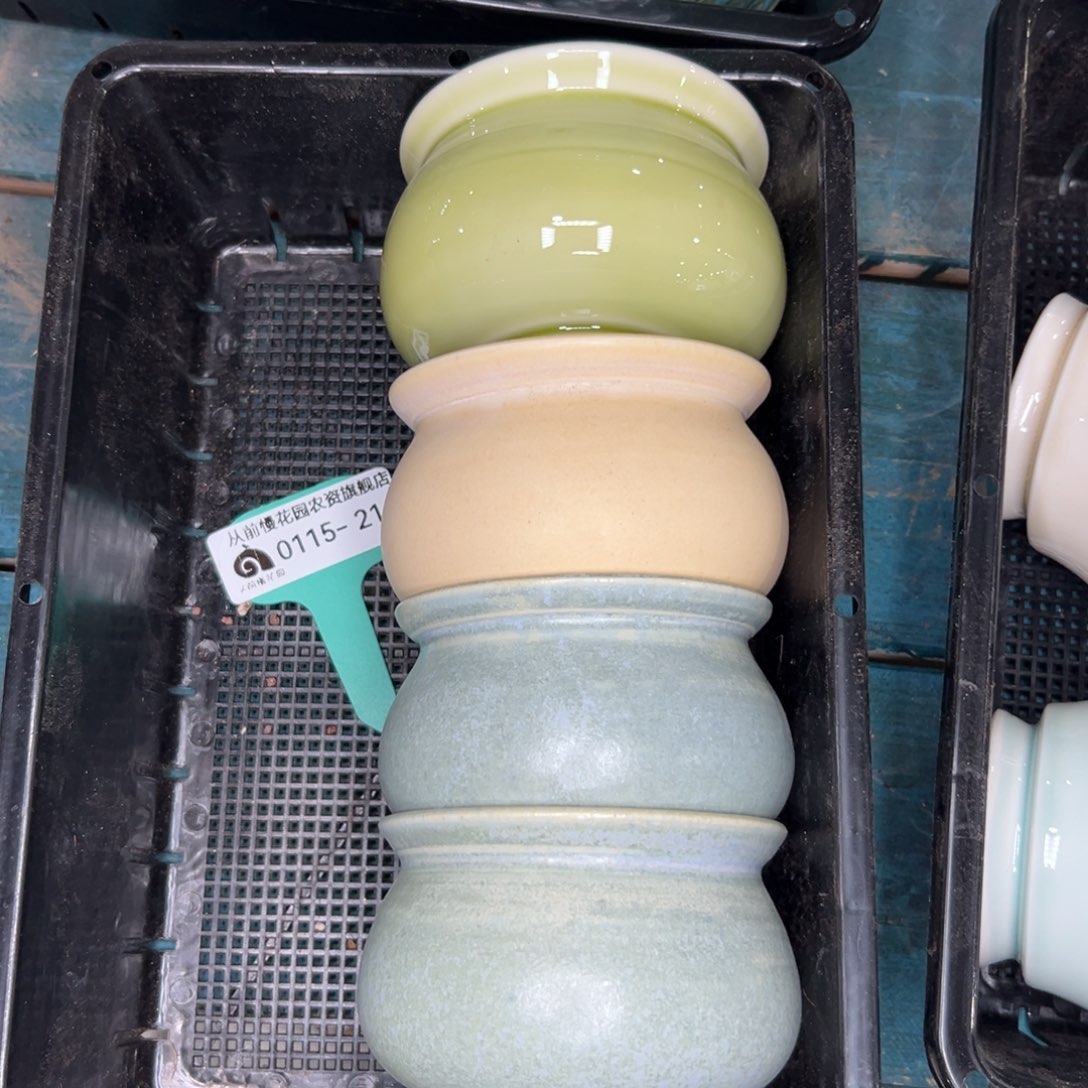 何*多肉精选编号0115.214