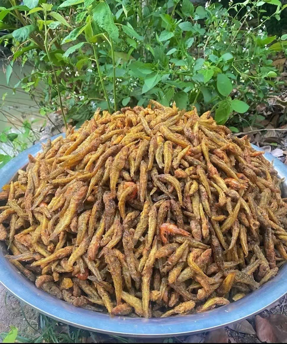 广西横县淡水石头鱼小鱼干木头鱼油炸小鱼(鲜炸鱼干)(顺丰包邮)