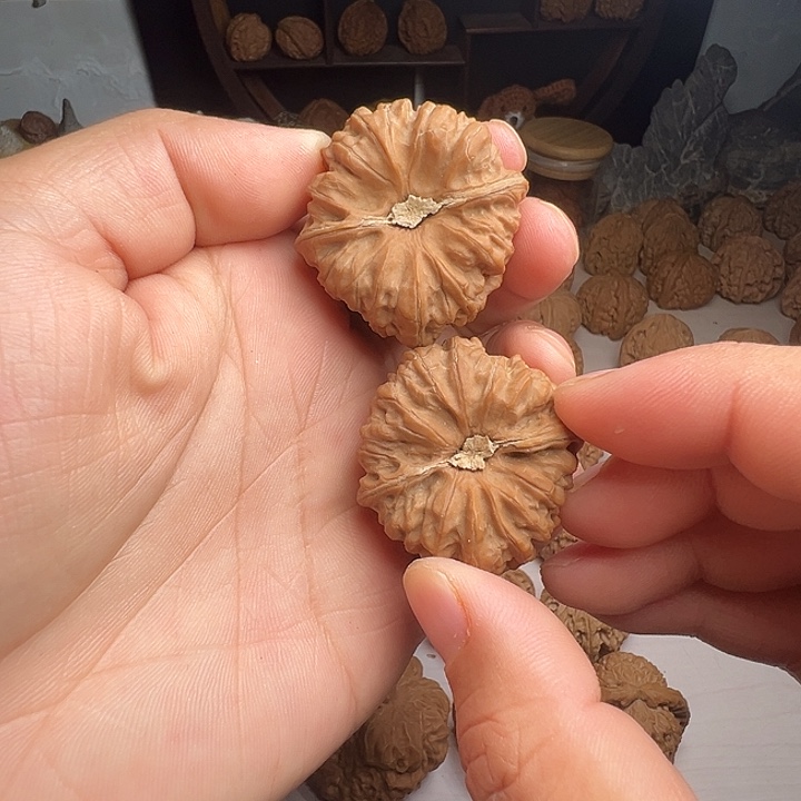 全品41尺寸平谷大凹底