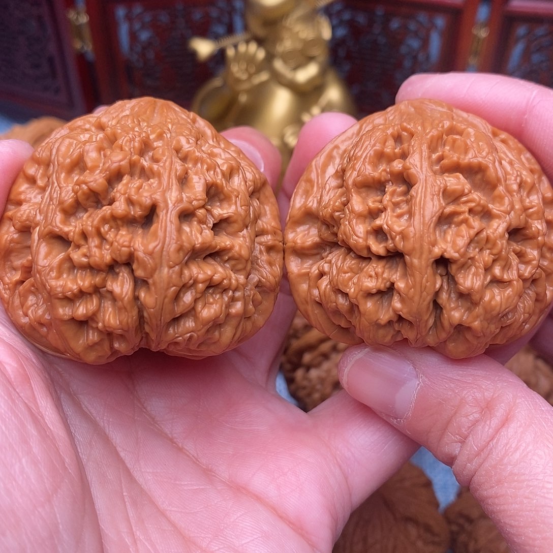 文玩核桃把件毕业粗筋绝配47尺全品