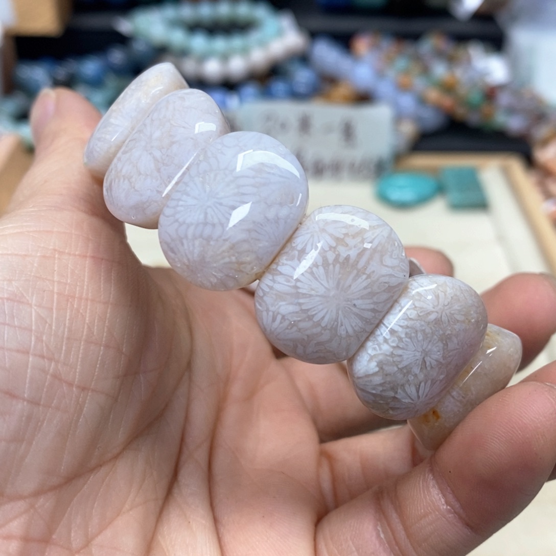 硅化珊瑚（珊瑚玉）手链未镶嵌X****）249