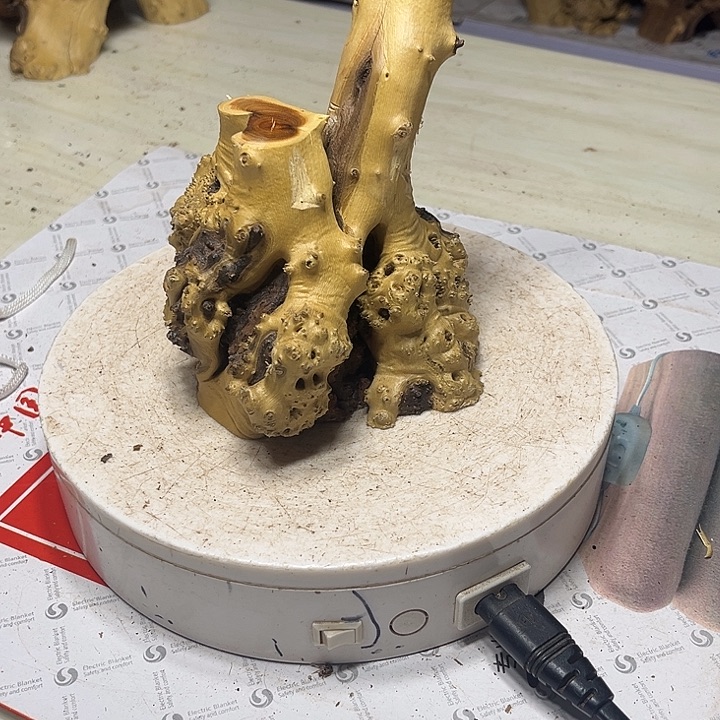 香榧木发信息吧你在哪