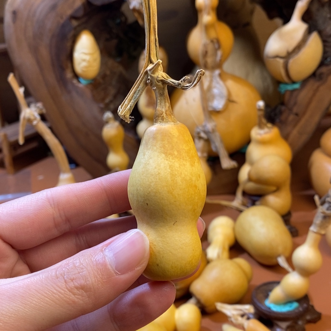 饭***花教练教练教练咯哦咯