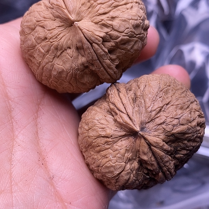 文玩核桃把件    78