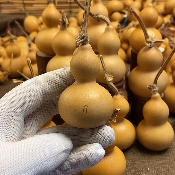 文玩葫芦 完美主义者 慎拍19