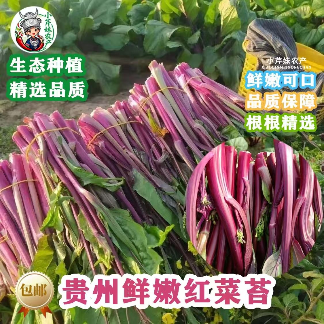 【鲜嫩红菜苔】贵州高山红菜苔农家自种四季菜心脆甜紫皮菜应季蔬菜