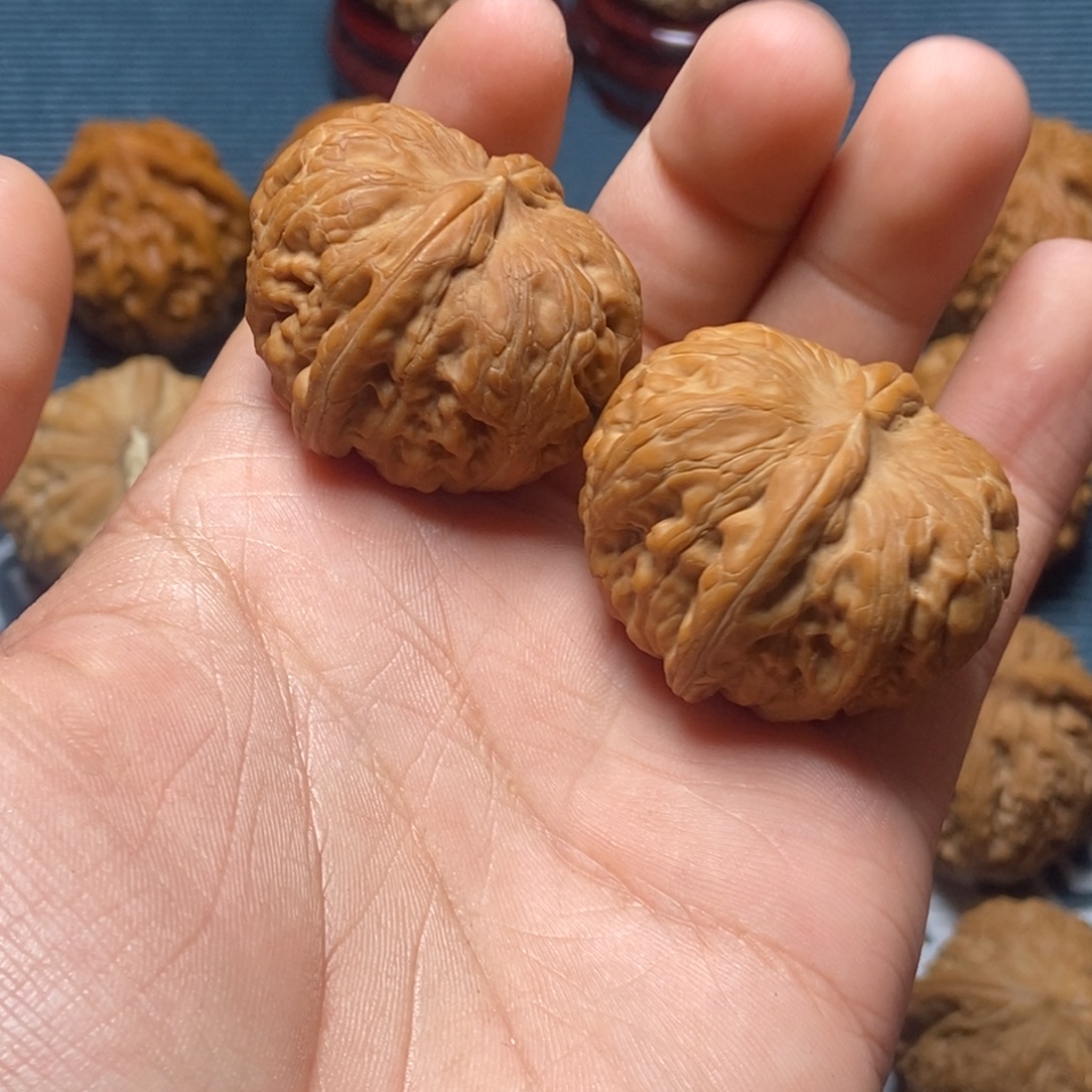 T***J37尺全品元宝白茬