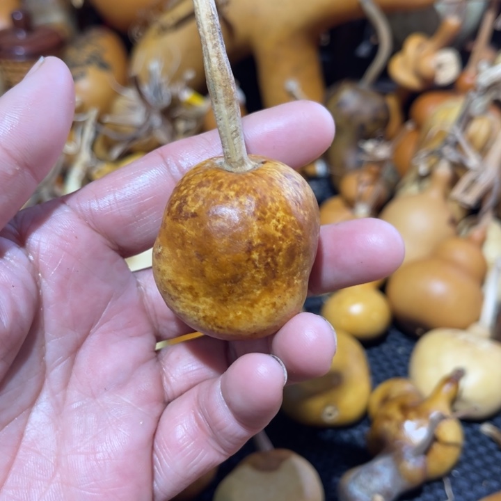 啊***计葫芦哈哈哈哈哈哈哈哈哈哈