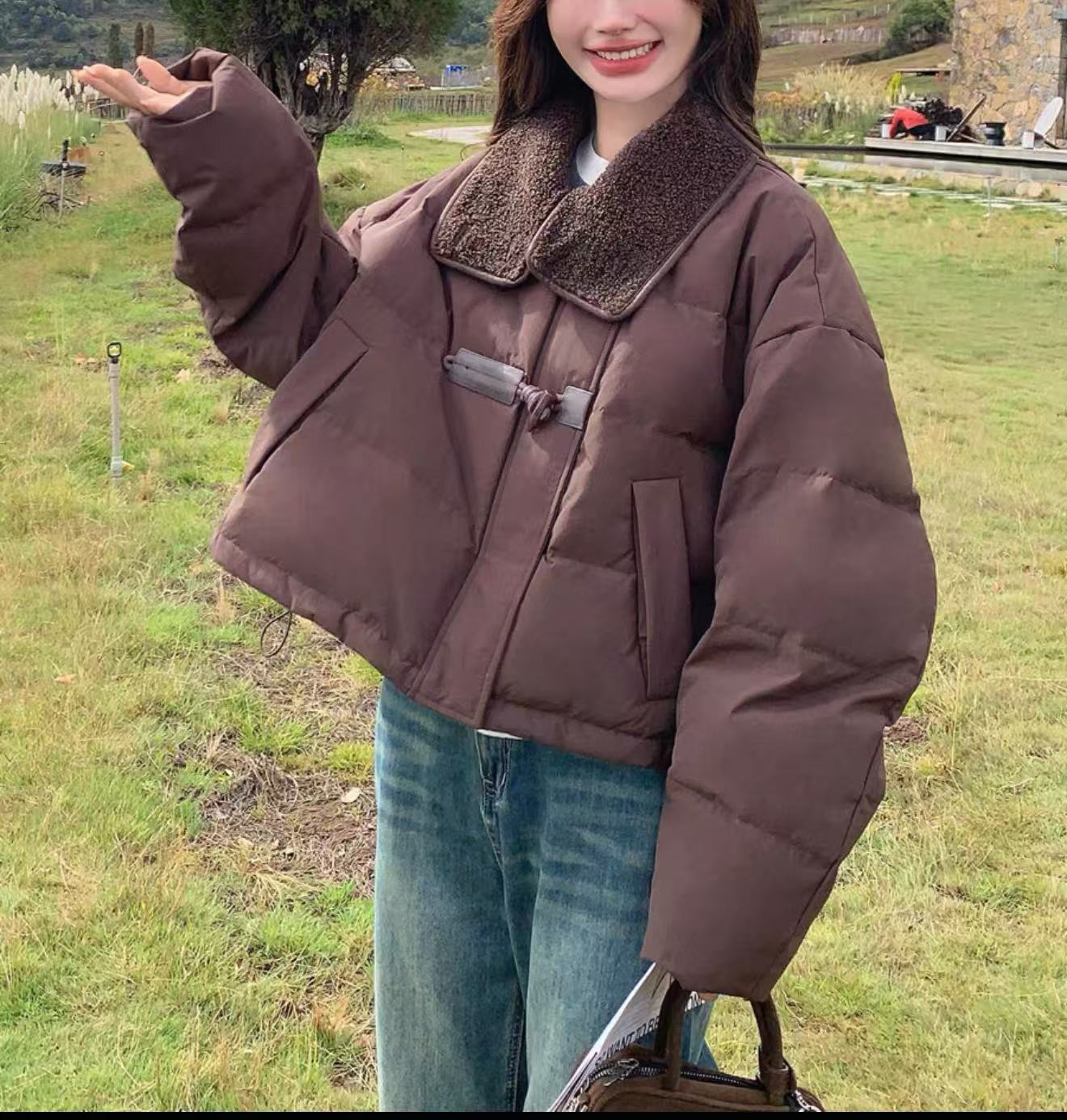 2025秋冬季简约时尚气质百搭翻领短款羽绒服Y646