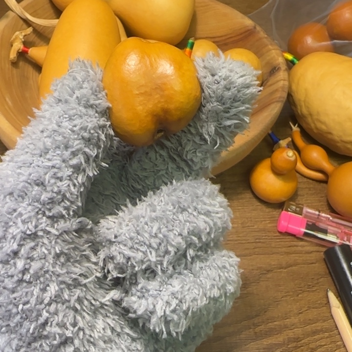 仲***虫土豆天然葫芦葫芦葫芦