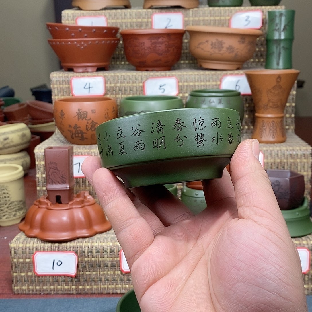 紫砂花盆我在等他