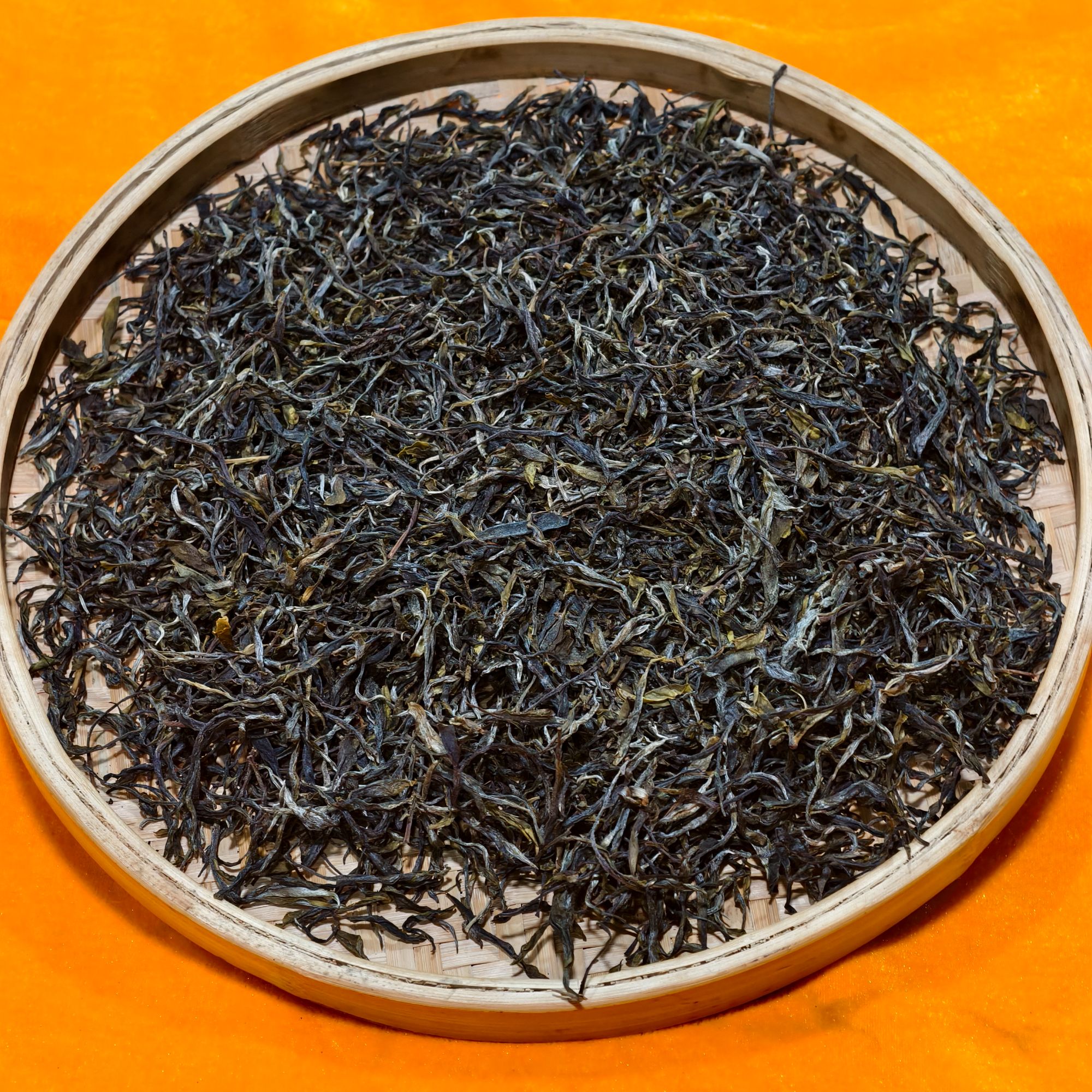 2024年曼松王子山松子地地块大树生茶散茶