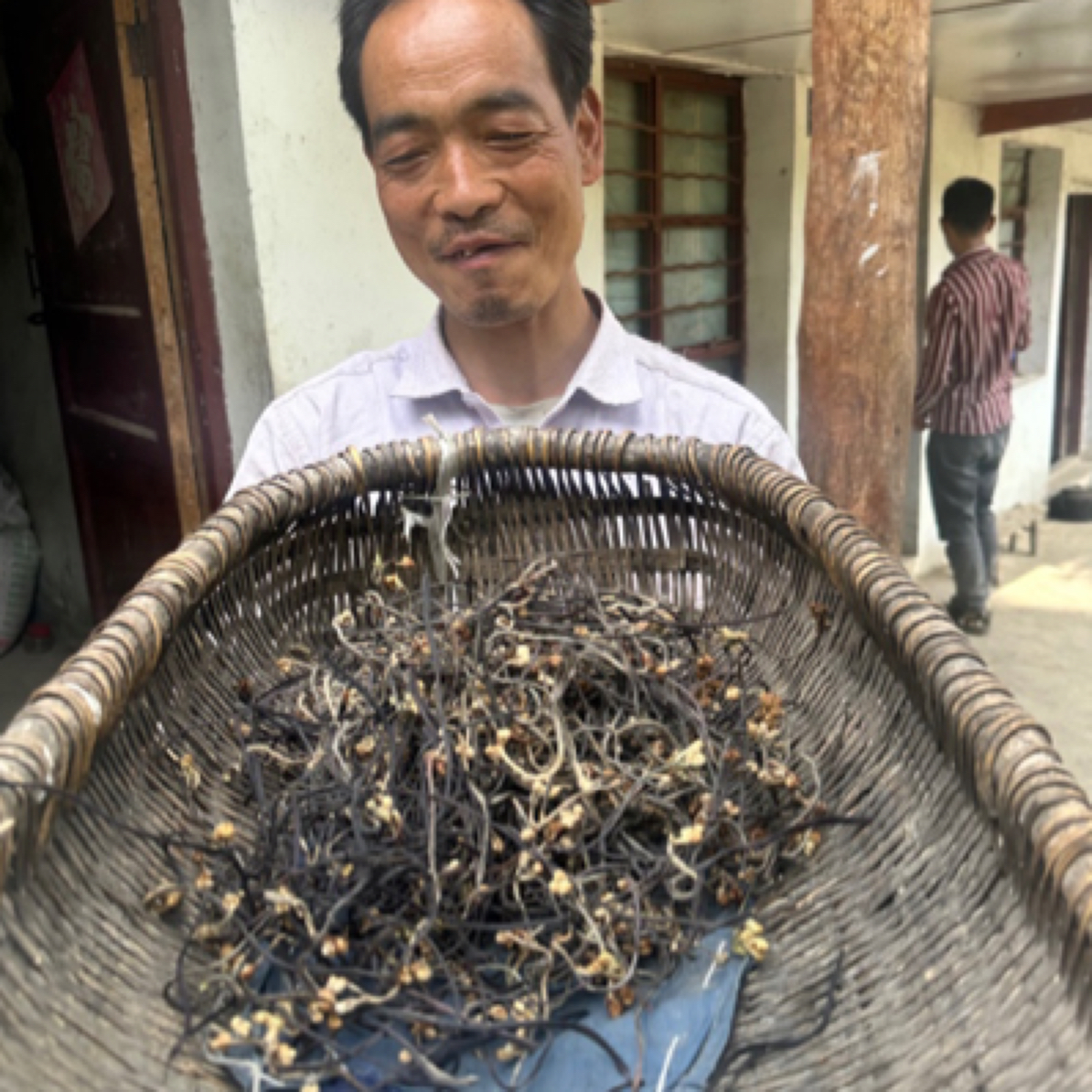 陇南野蕨菜高山野蕨菜农民自己晒的