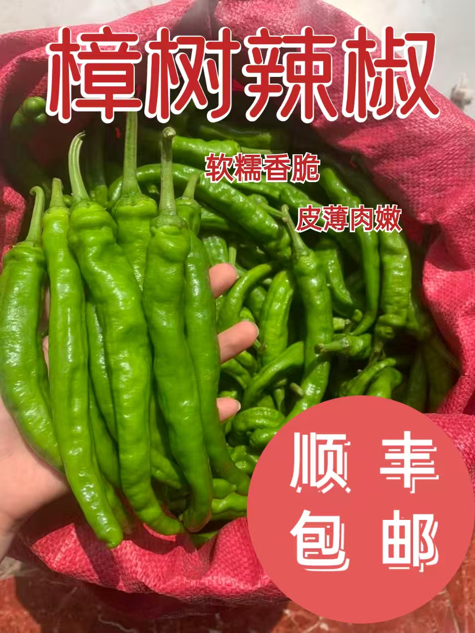 湖南樟树薄皮小青椒新鲜美味辣椒酱虎皮青椒都可现摘现发顺丰到家