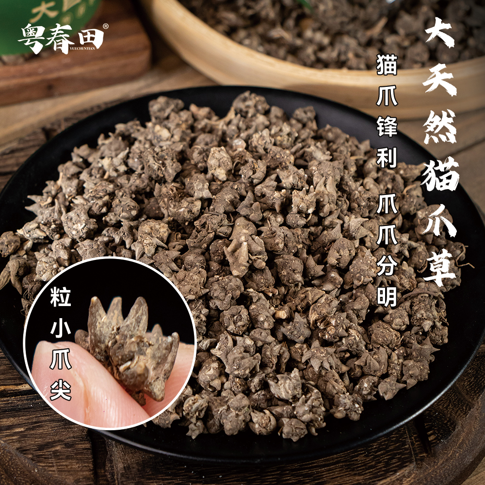 [粤春田] 精选猫爪草 大自然山货 爪爪分明 无熏硫