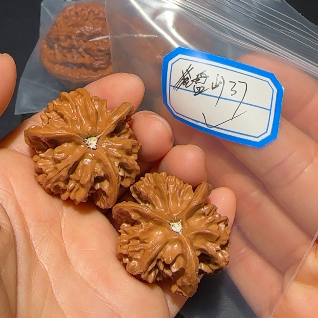 親***誠吊坠文玩核桃飞飞飞飞飞飞