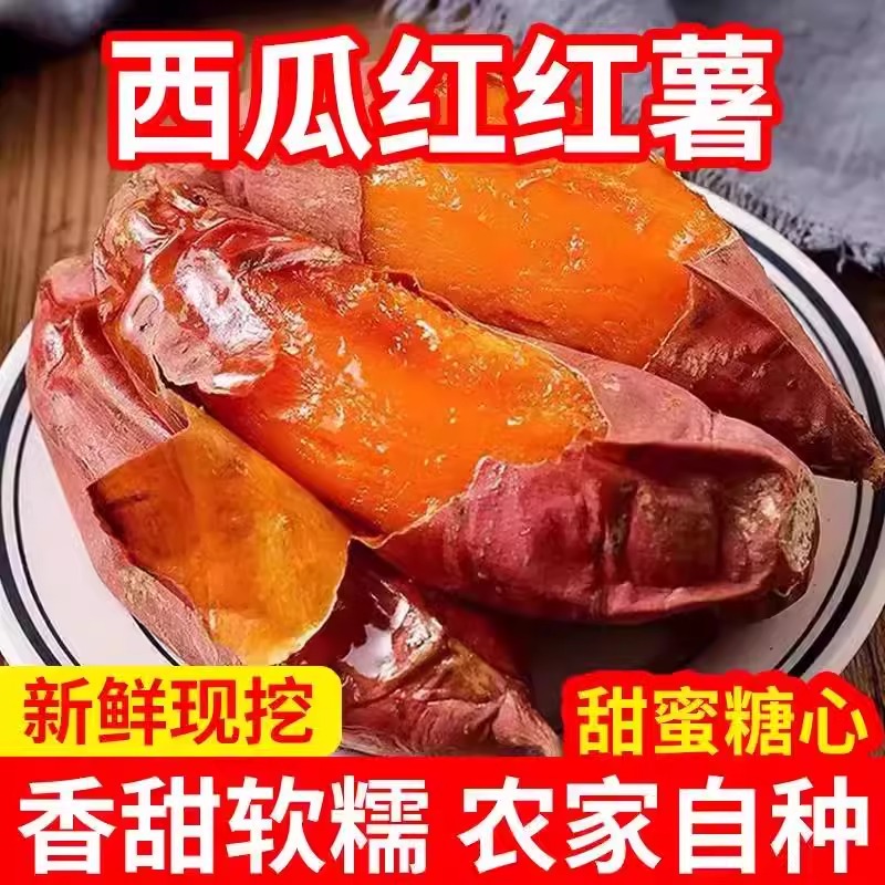包邮现挖生鲜西瓜红蜜薯糖心番薯新鲜水果整箱广西正宗红心蜜薯