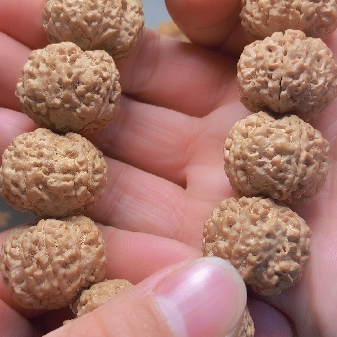 金刚菩提把件5瓣25铁籽
