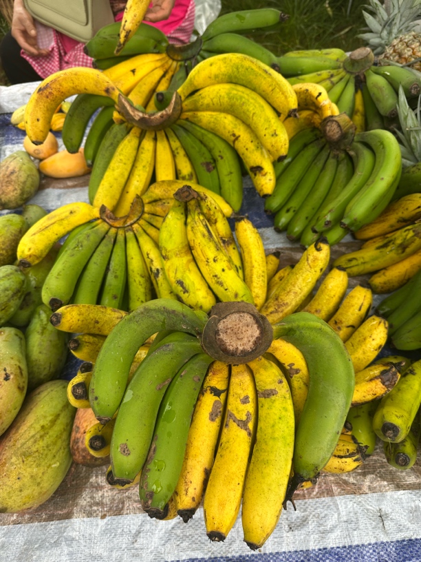 云南农家自然树熟香蕉