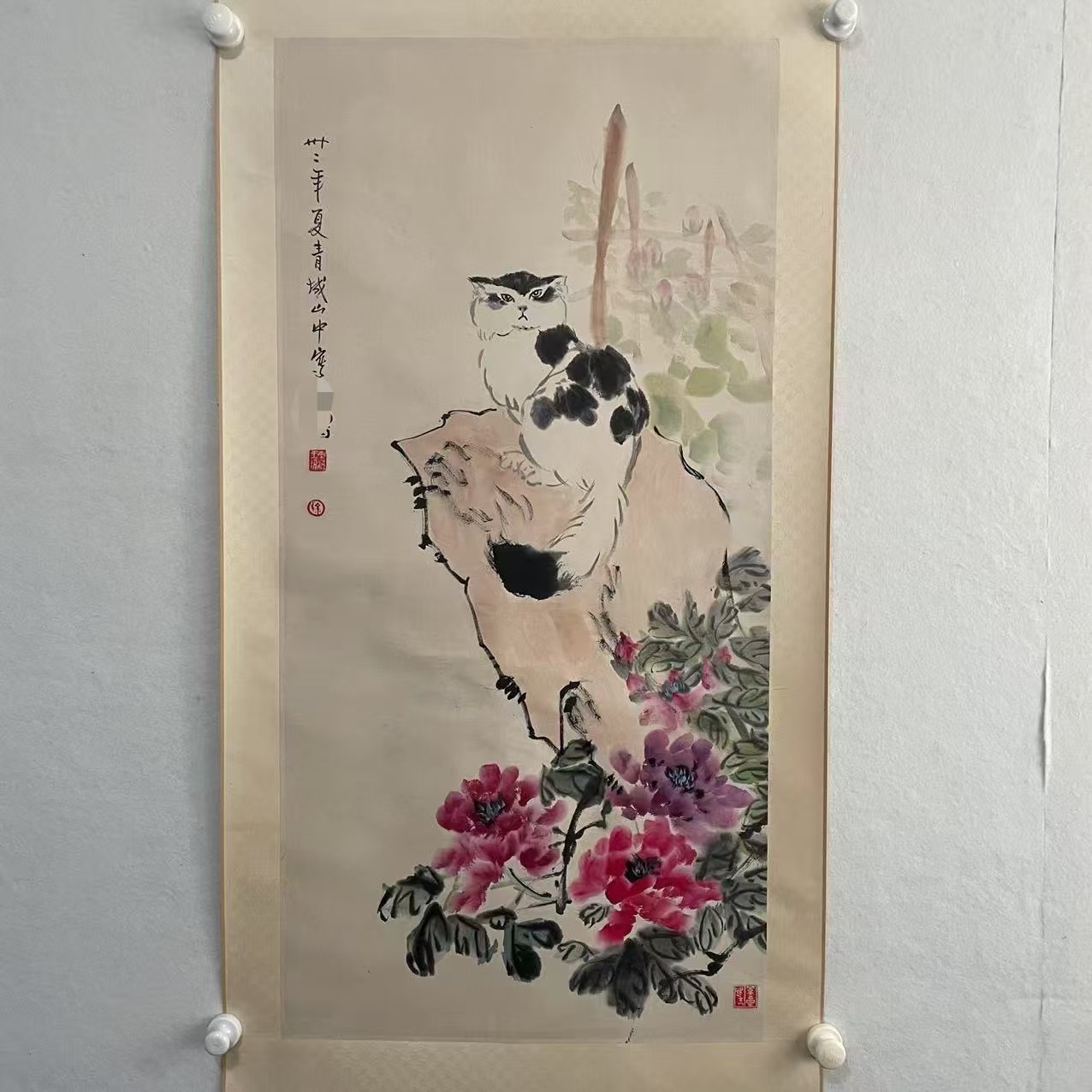 5708 猫趣图 纸本设色立轴 48×99