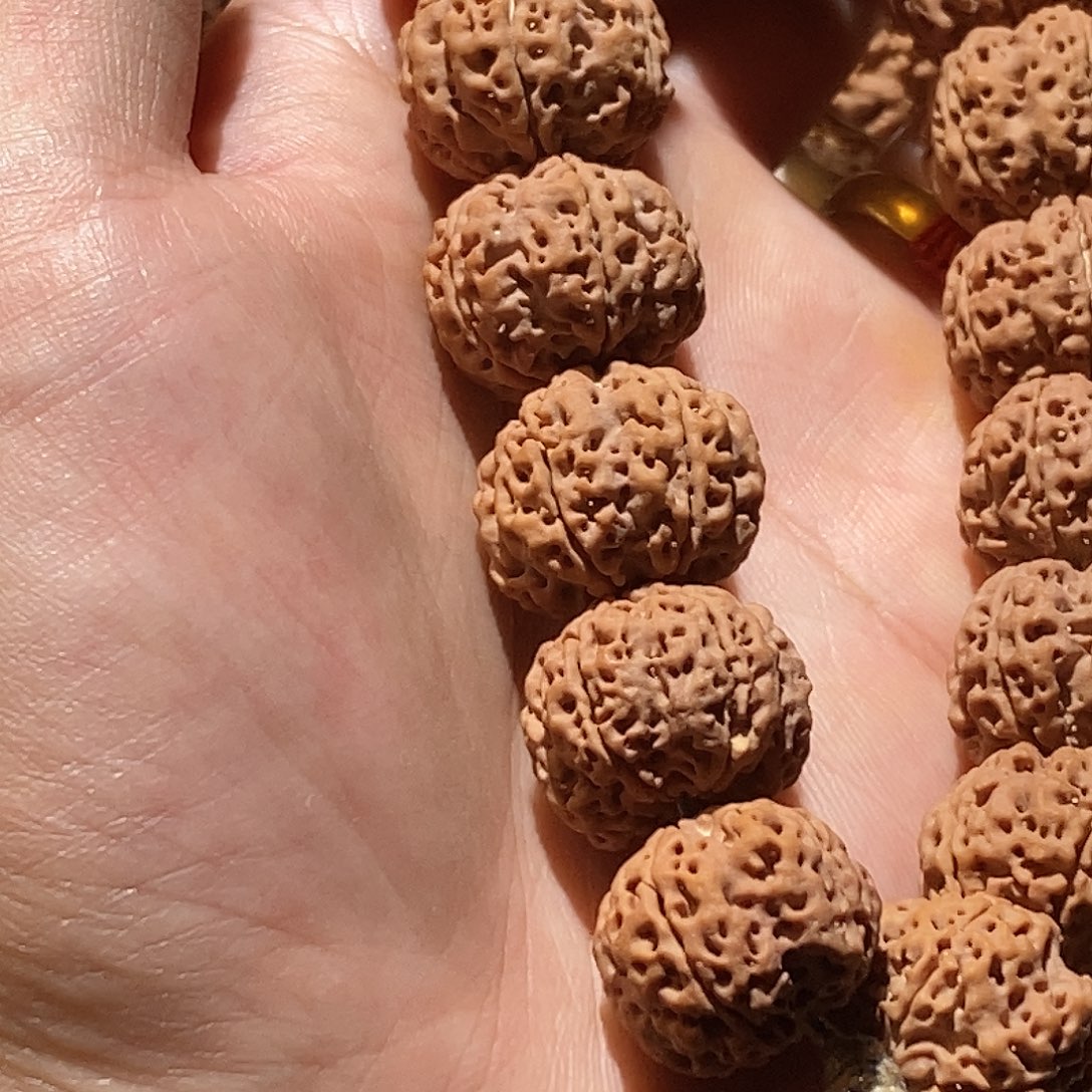 金刚菩提手串玉骨梅花20头货