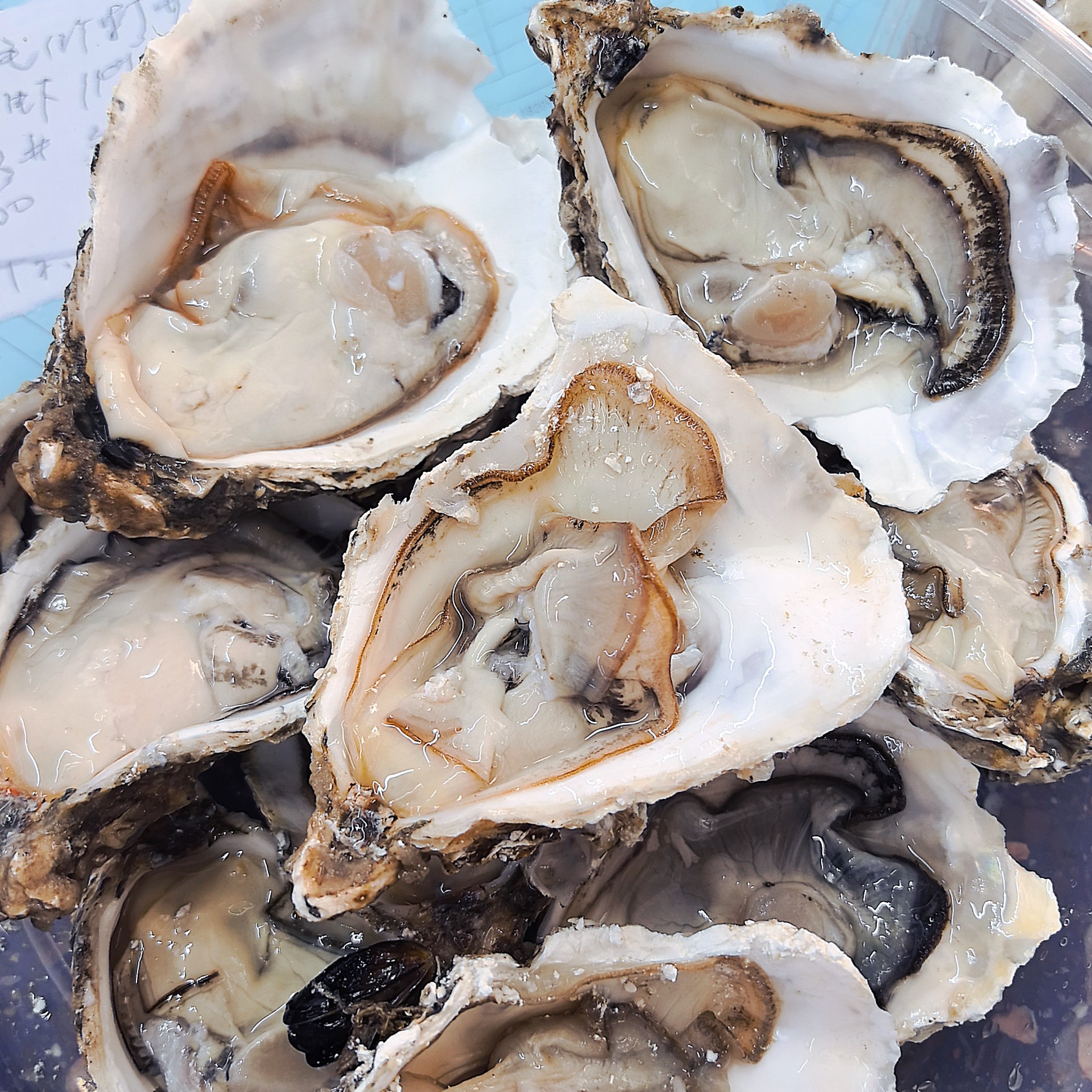 乳山鲜活生蚝39元20个或大号12个哪个货拿哪个