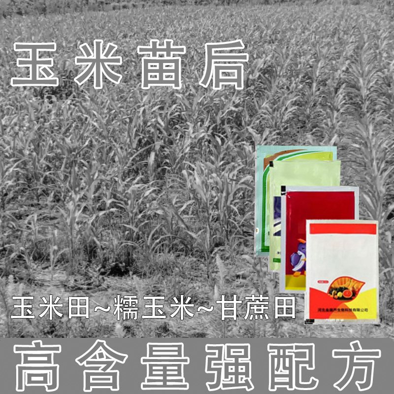 玉米甘蔗不影响作物生长有机质肥料