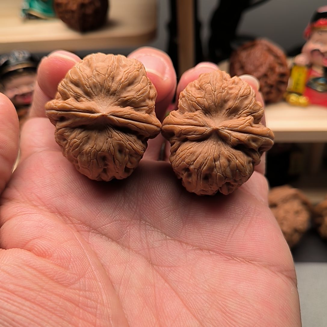 全品袁大头37尺福利