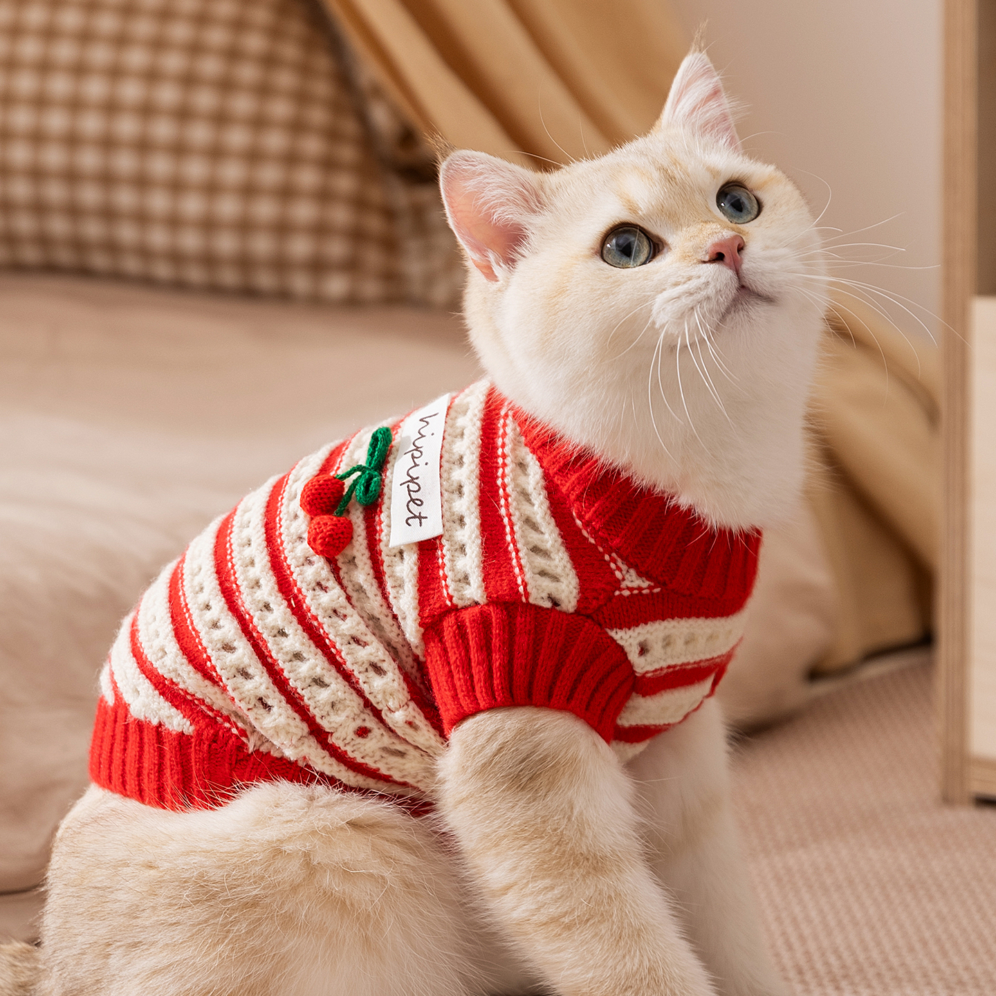 猫咪衣服针织镂空毛衣布偶猫防掉毛两脚衣服幼猫宠物春秋毛衣0657