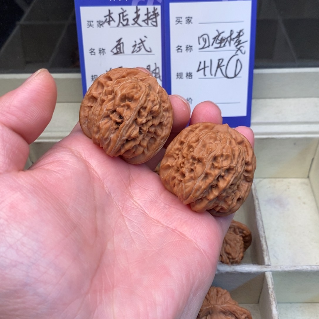 核桃四座楼（41尺寸）