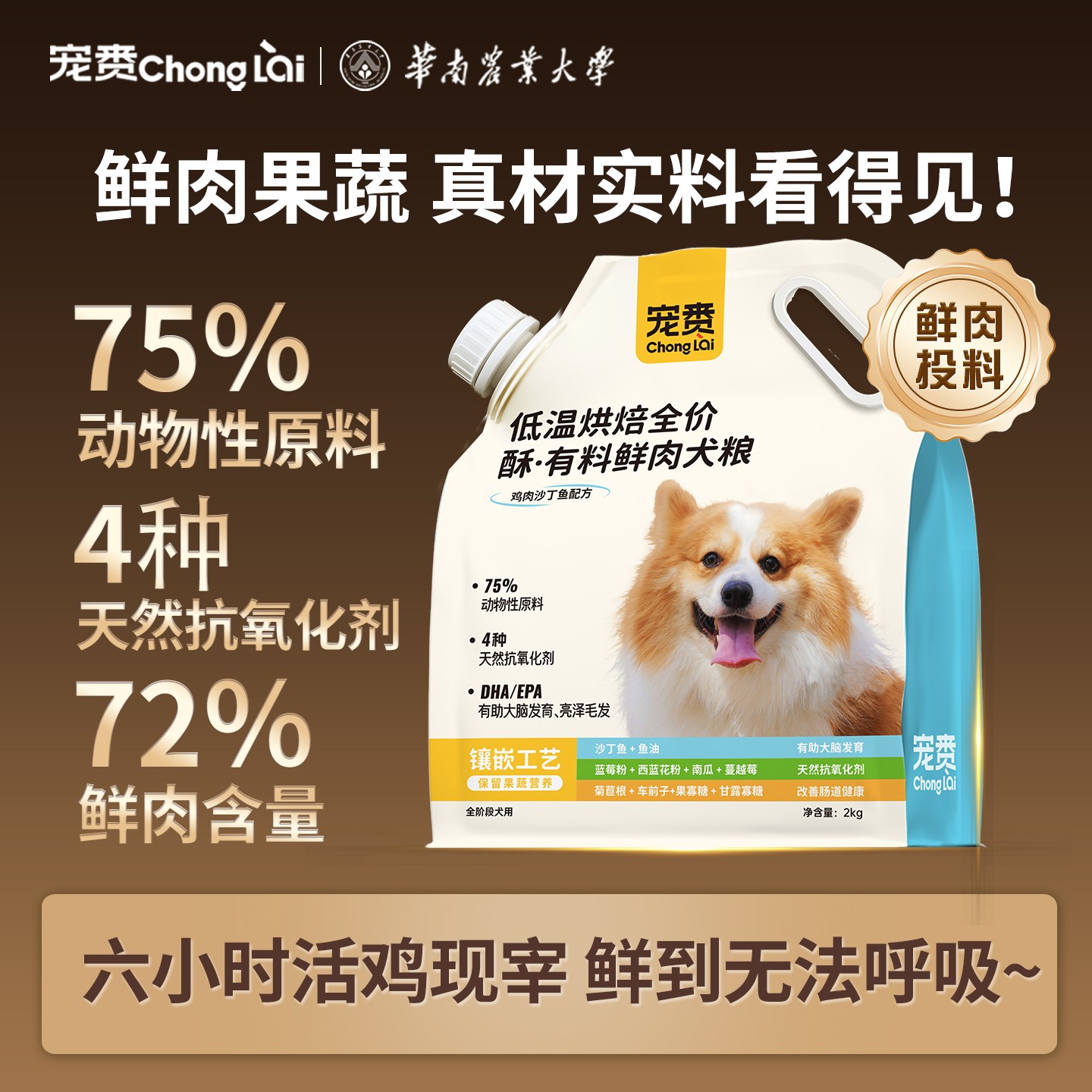 烘焙犬粮鲜肉狗粮全价狗粮幼犬成犬通用宠物食品宠物好物