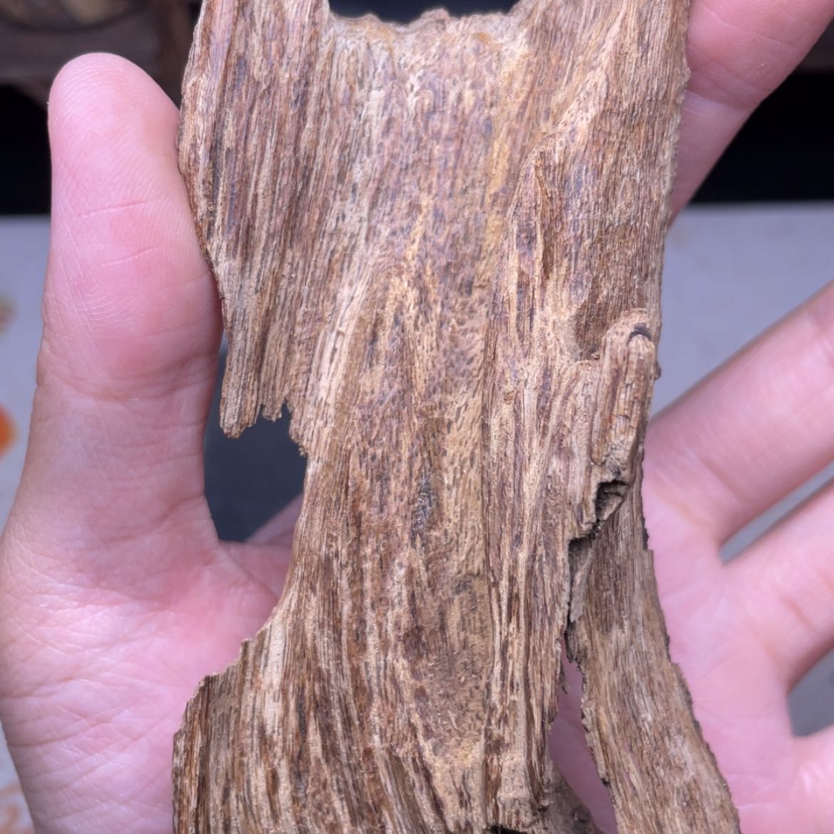 【闪购商品】香榧木海南琼中根部香22.8克